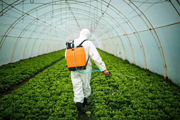 Best Pest Removal Services  in Clarinda, IA