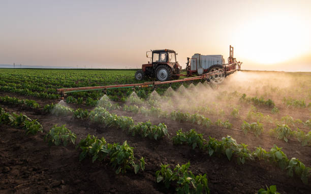 Best Affordable Pest Control Services  in Clarinda, IA