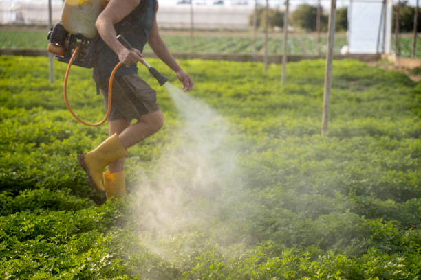 Best Wildlife Control Services  in Clarinda, IA