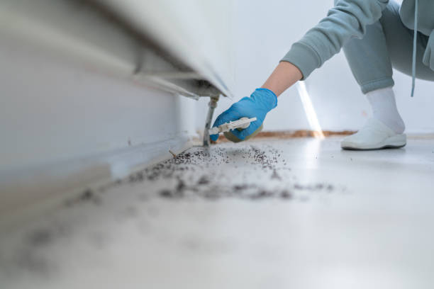 Best Cockroach Control Services  in Clarinda, IA